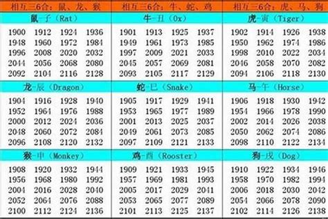 02年属相|2002年属什么命 2002年属什么生肖和什么最配